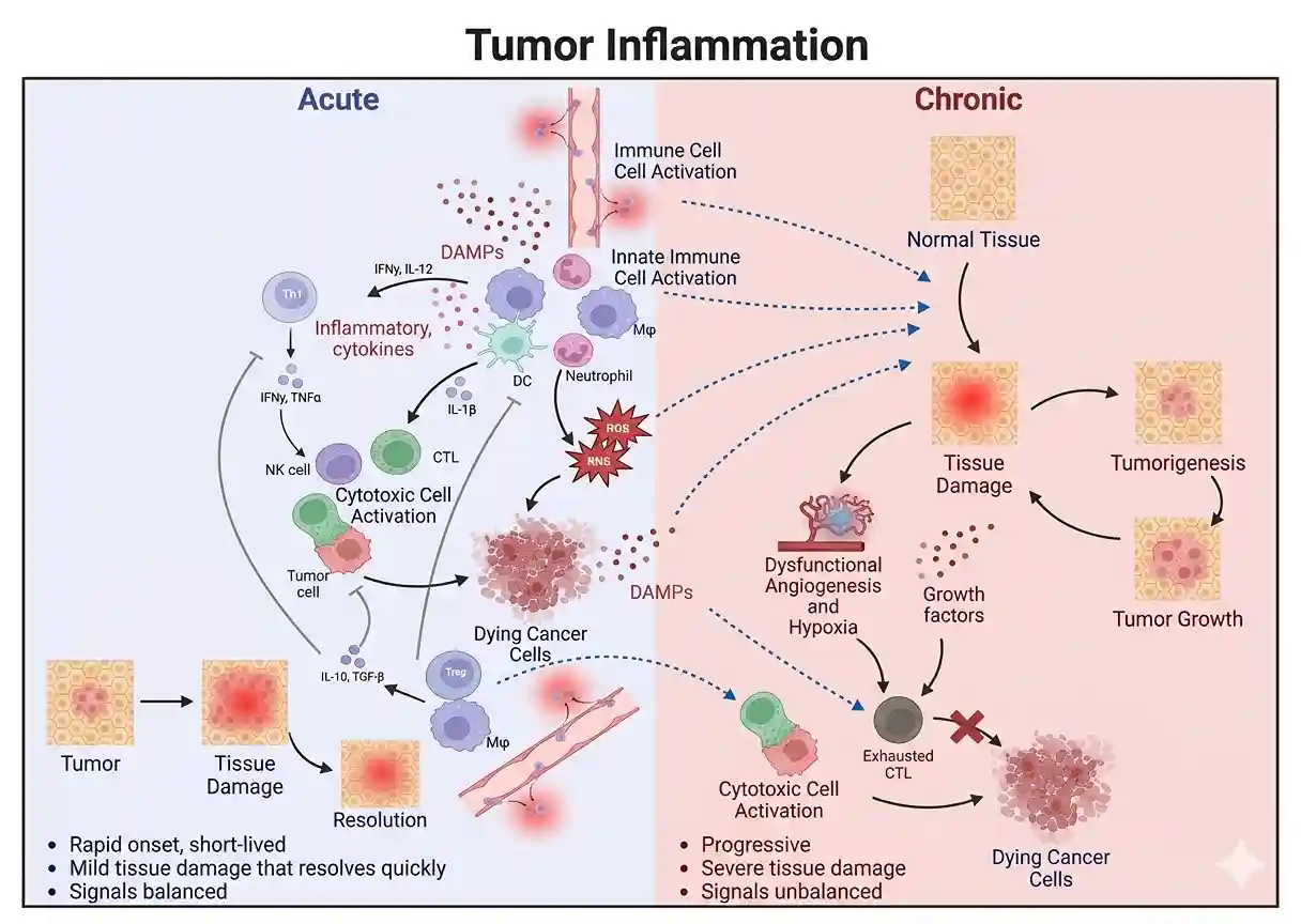 inflammation