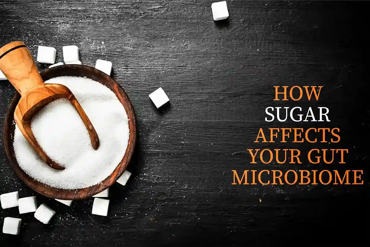 the-effects-of-sugar-on-gut-bacteria