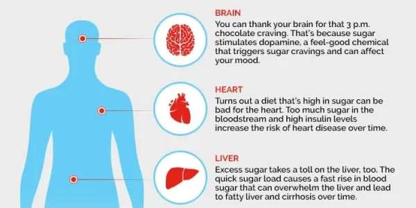 gut-microbiota-in-nutrition