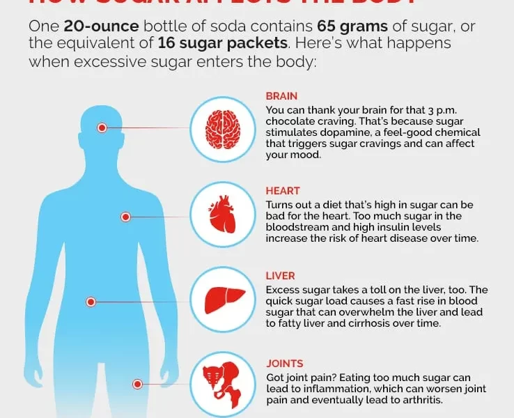 gut-microbiota-in-nutrition
