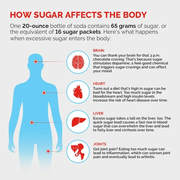gut-bacteria-in-nutrition